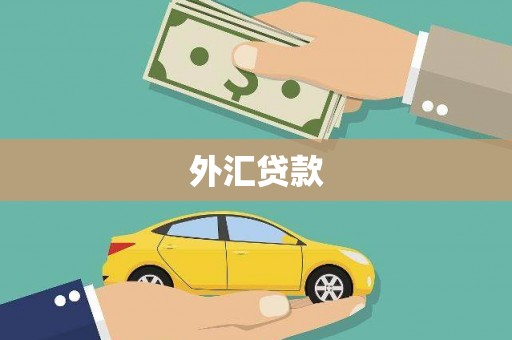 金乡外汇贷款
