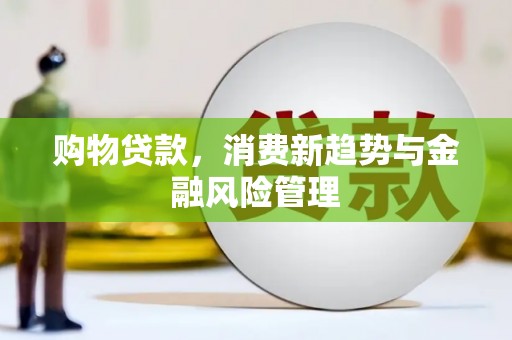 金乡购物贷款，消费新趋势与金融风险管理