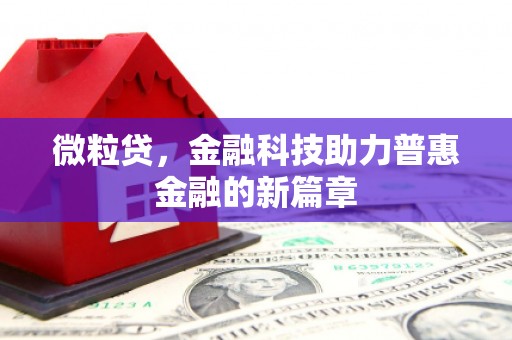 金乡微粒贷，金融科技助力普惠金融的新篇章