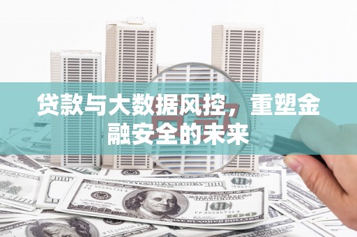 金乡贷款与大数据风控，重塑金融安全的未来