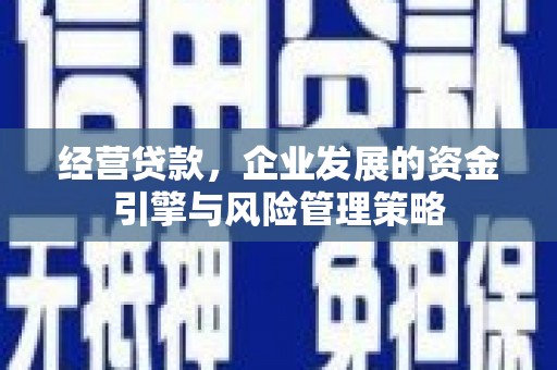 金乡经营贷款，企业发展的资金引擎与风险管理策略