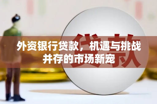 金乡外资银行贷款，机遇与挑战并存的市场新宠