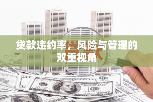 金乡贷款违约率，风险与管理的双重视角