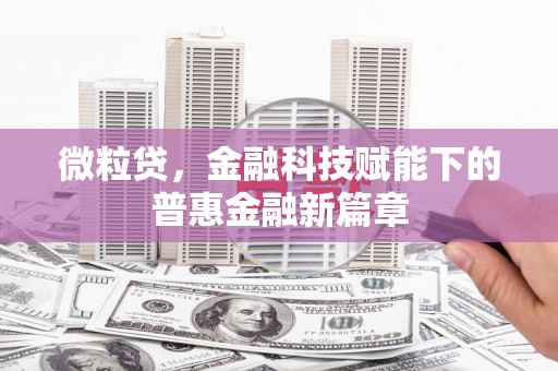 金乡微粒贷，金融科技赋能下的普惠金融新篇章