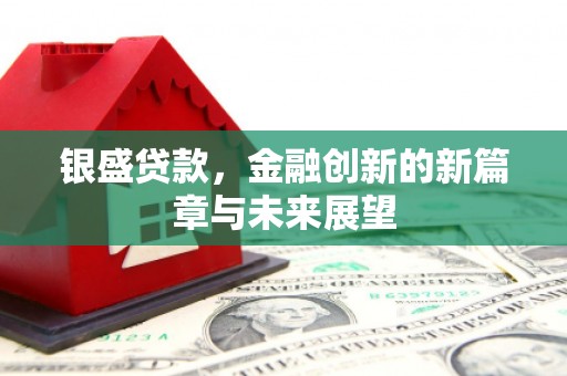金乡银盛贷款，金融创新的新篇章与未来展望