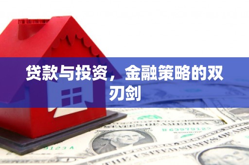 金乡贷款与投资，金融策略的双刃剑
