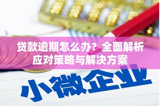 金乡贷款逾期怎么办？全面解析应对策略与解决方案