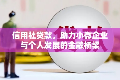金乡信用社贷款，助力小微企业与个人发展的金融桥梁