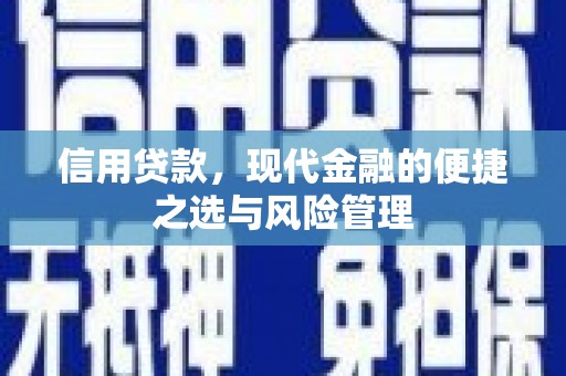 金乡信用贷款，现代金融的便捷之选与风险管理