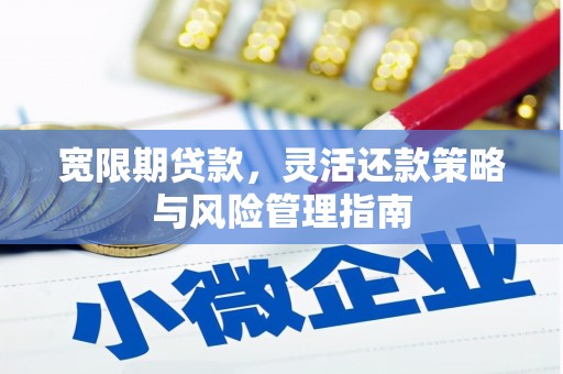 金乡宽限期贷款，灵活还款策略与风险管理指南