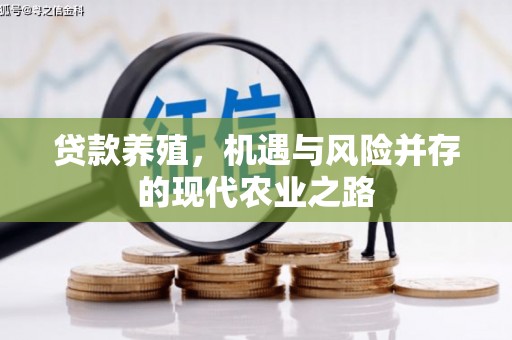 金乡贷款养殖，机遇与风险并存的现代农业之路