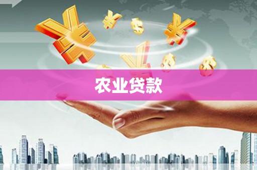 金乡农业贷款