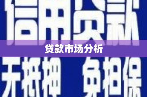 金乡贷款市场分析
