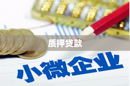 金乡质押贷款