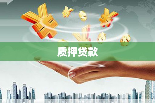 金乡质押贷款