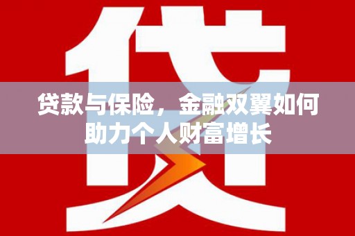 金乡贷款与保险，金融双翼如何助力个人财富增长