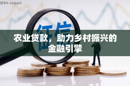 金乡农业贷款，助力乡村振兴的金融引擎