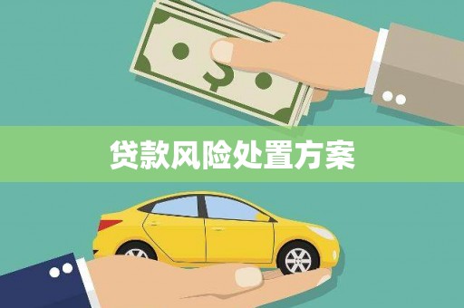 金乡贷款风险处置方案