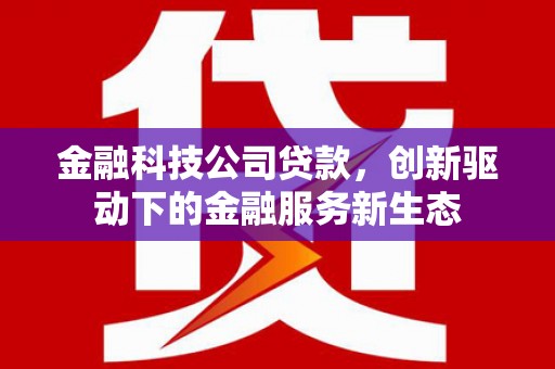 金乡金融科技公司贷款，创新驱动下的金融服务新生态