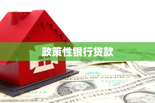金乡政策性银行贷款