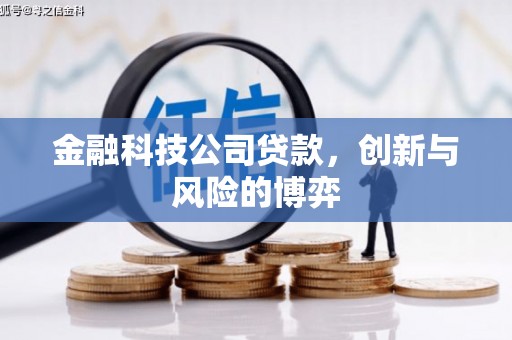 金乡金融科技公司贷款，创新与风险的博弈