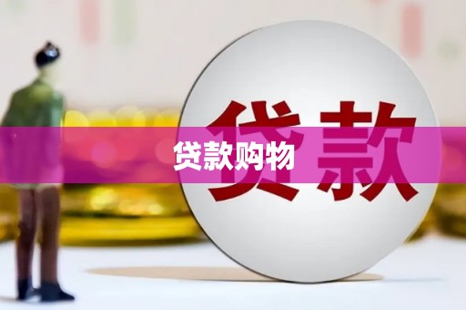 金乡贷款购物