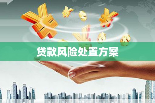 金乡贷款风险处置方案