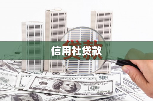 金乡信用社贷款
