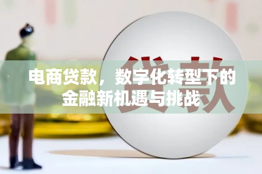 金乡电商贷款，数字化转型下的金融新机遇与挑战