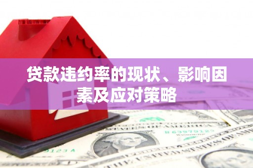 金乡贷款违约率的现状、影响因素及应对策略