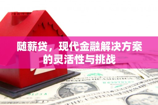 金乡随薪贷，现代金融解决方案的灵活性与挑战