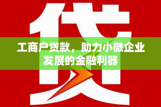 金乡工商户贷款，助力小微企业发展的金融利器