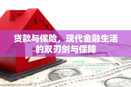 金乡贷款与保险，现代金融生活的双刃剑与保障