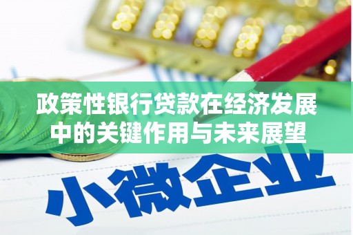金乡政策性银行贷款在经济发展中的关键作用与未来展望