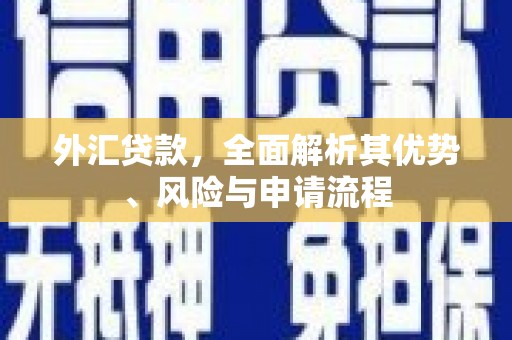 金乡外汇贷款，全面解析其优势、风险与申请流程
