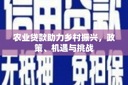 金乡农业贷款助力乡村振兴，政策、机遇与挑战