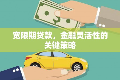 金乡宽限期贷款，金融灵活性的关键策略