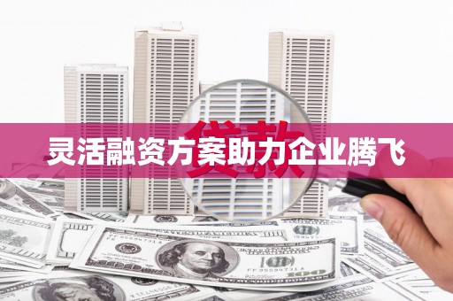 金乡灵活融资方案助力企业腾飞