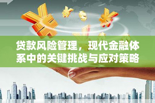 金乡贷款风险管理，现代金融体系中的关键挑战与应对策略