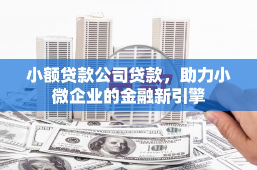 金乡小额贷款公司贷款，助力小微企业的金融新引擎