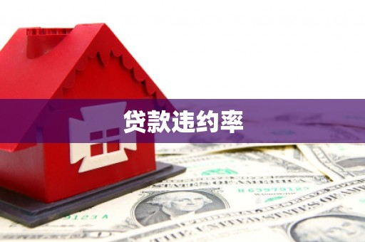 金乡贷款违约率