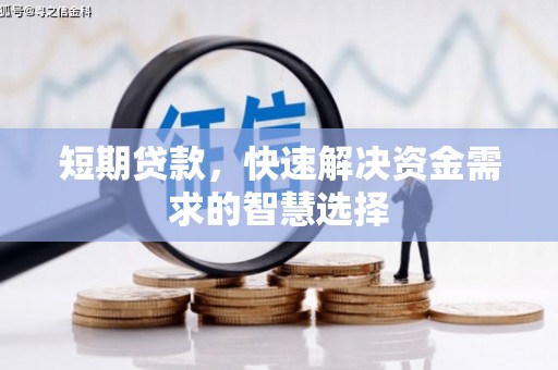 金乡短期贷款，快速解决资金需求的智慧选择
