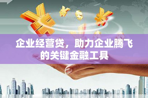 金乡企业经营贷，助力企业腾飞的关键金融工具