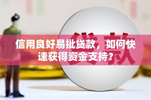 金乡信用良好易批贷款，如何快速获得资金支持？