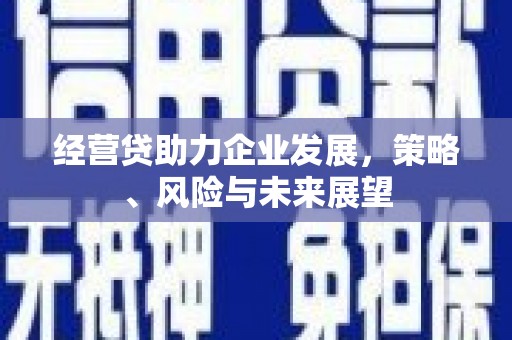金乡经营贷助力企业发展，策略、风险与未来展望