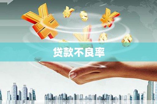 金乡贷款不良率