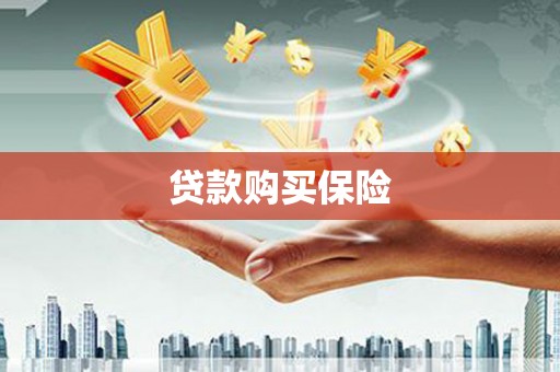 金乡贷款购买保险