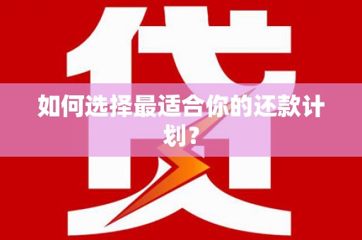 金乡如何选择最适合你的还款计划？