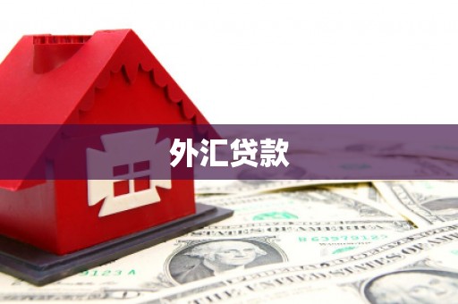 金乡外汇贷款