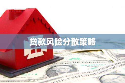 金乡贷款风险分散策略